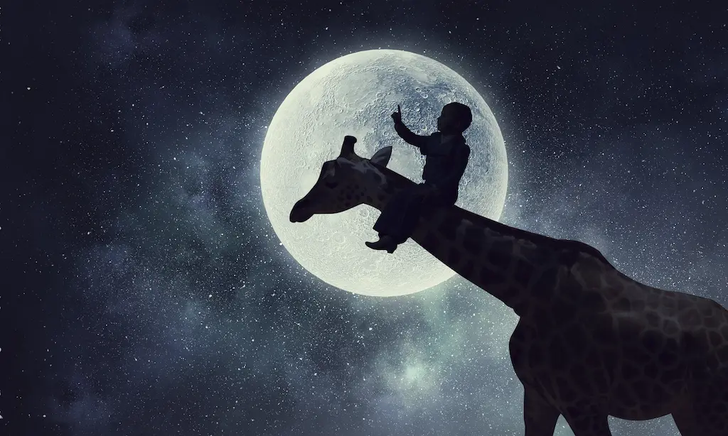 krafttier finden giraffe